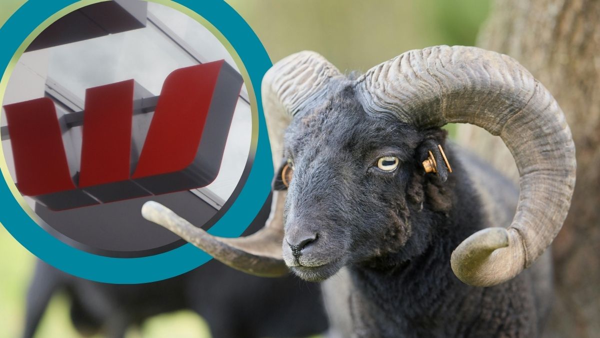 Westpac selling RAMS home loan portfolio to Pepper Money & co