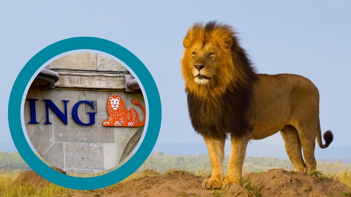 ING slashes fixed mortgage rates despite expected RBA hold