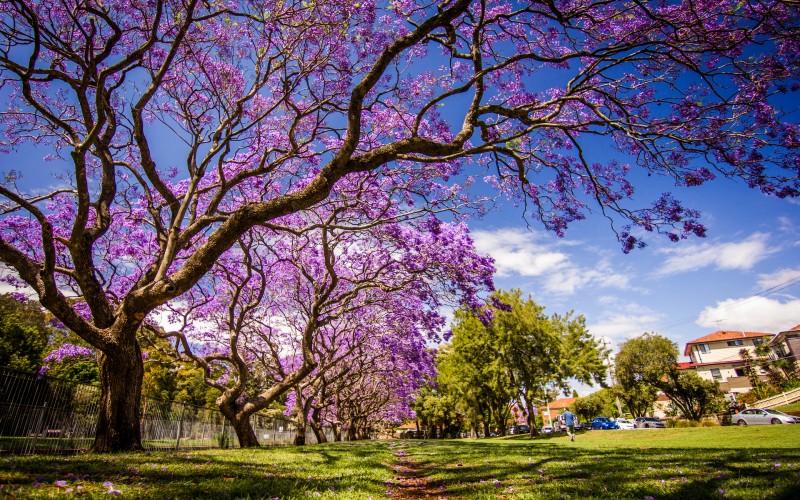 Spring selling season kicks off with listings spike: PropTrack - Vimarsana News