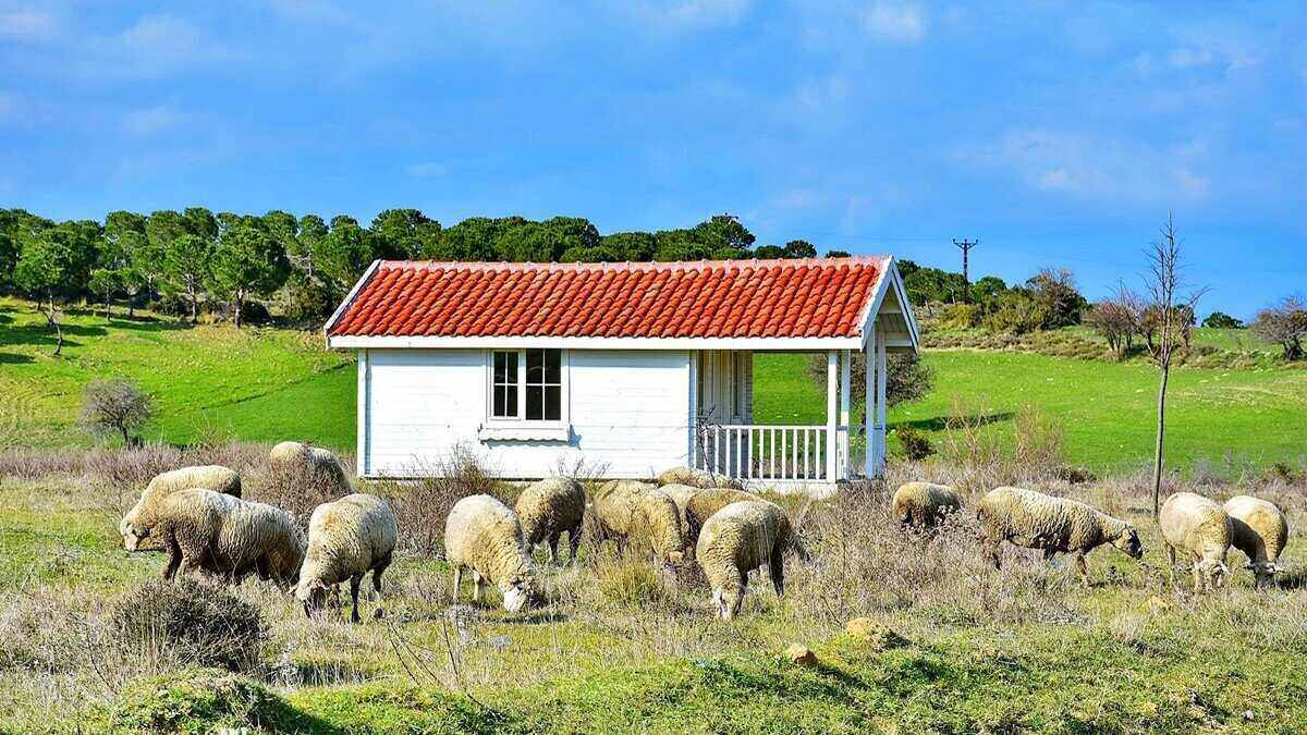 Westpac subsidiary RAMS under fire for home loan conduct